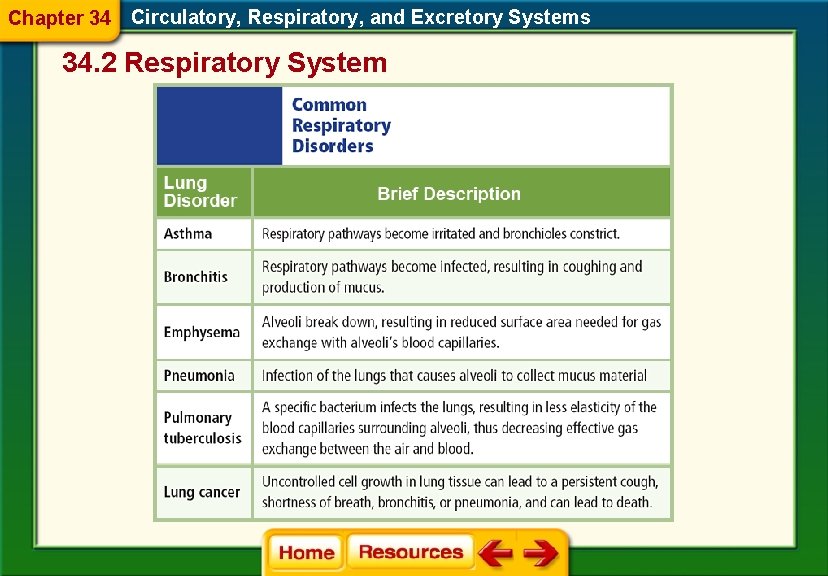 Chapter 34 Circulatory, Respiratory, and Excretory Systems 34. 2 Respiratory System 
