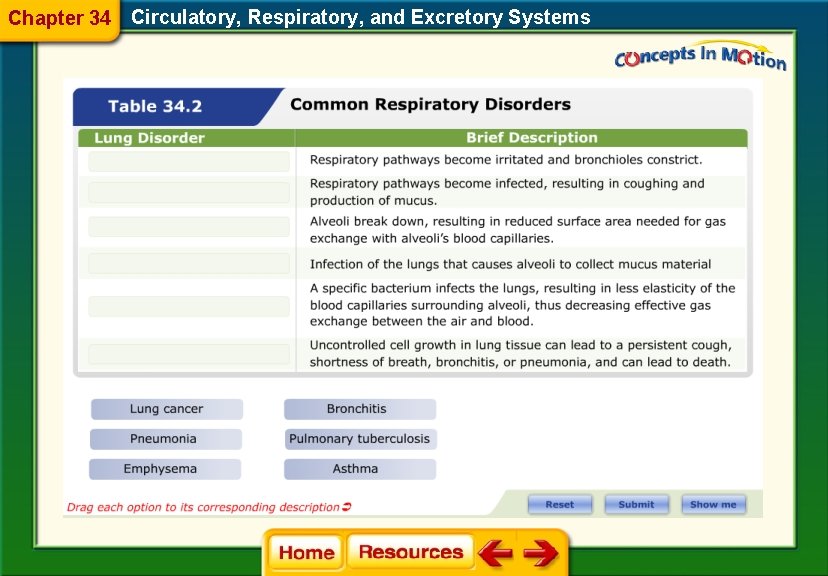 Chapter 34 Circulatory, Respiratory, and Excretory Systems 