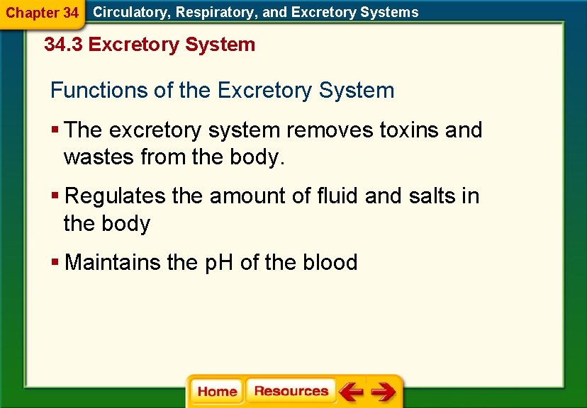 Chapter 34 Circulatory, Respiratory, and Excretory Systems 34. 3 Excretory System Functions of the