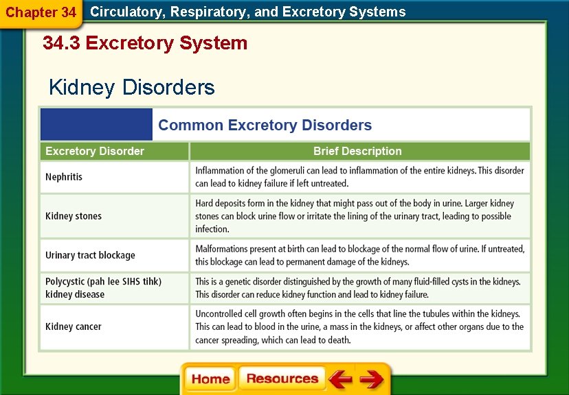 Chapter 34 Circulatory, Respiratory, and Excretory Systems 34. 3 Excretory System Kidney Disorders 