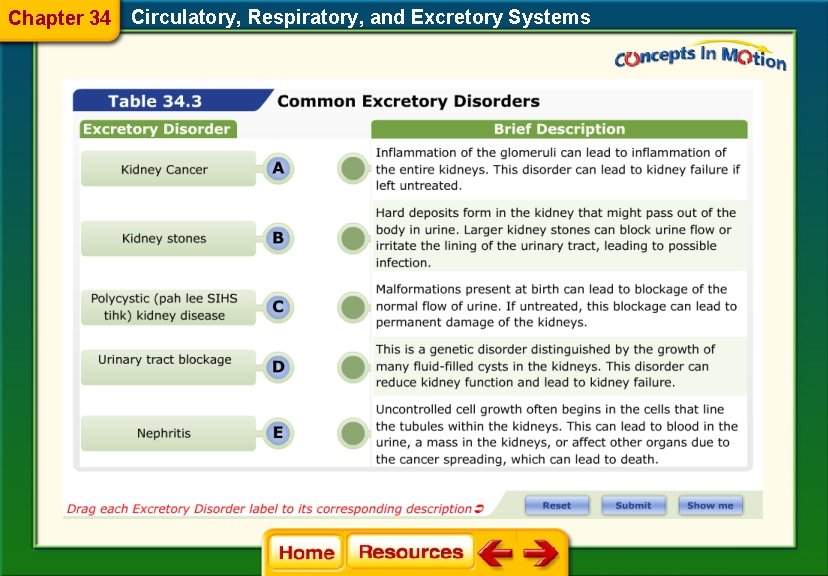 Chapter 34 Circulatory, Respiratory, and Excretory Systems 