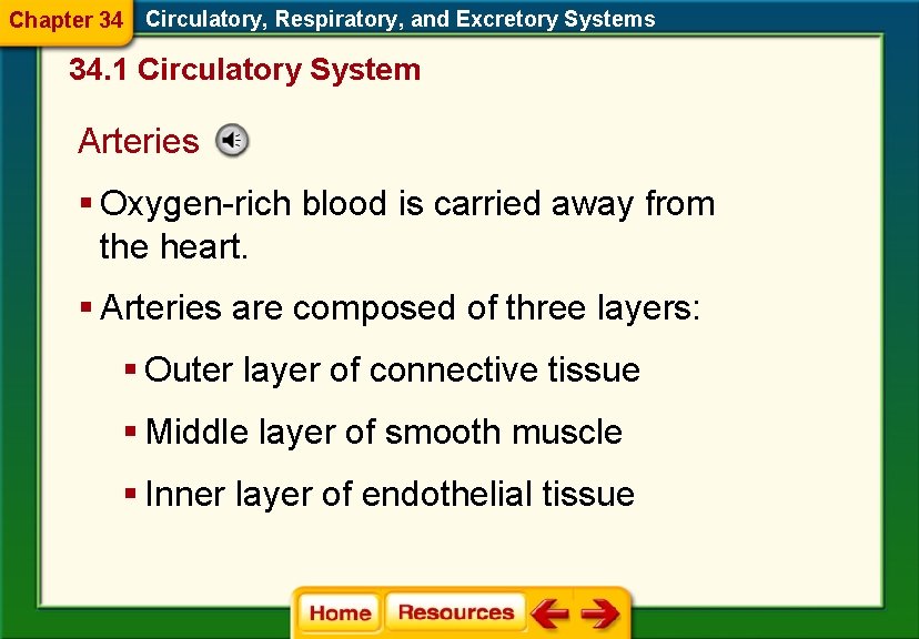 Chapter 34 Circulatory, Respiratory, and Excretory Systems 34. 1 Circulatory System Arteries § Oxygen-rich