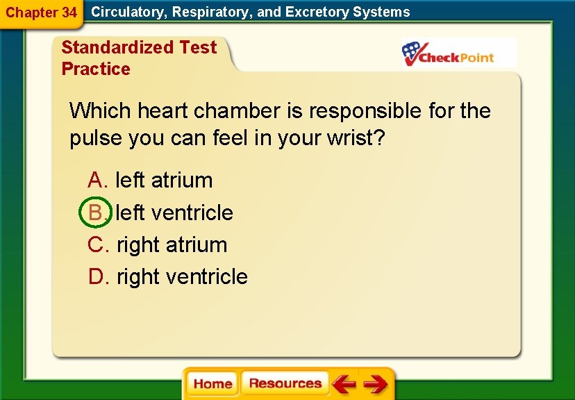Chapter 34 Circulatory, Respiratory, and Excretory Systems Standardized Test Practice Which heart chamber is
