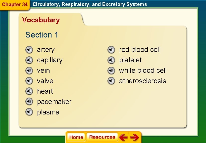 Chapter 34 Circulatory, Respiratory, and Excretory Systems Vocabulary Section 1 artery red blood cell