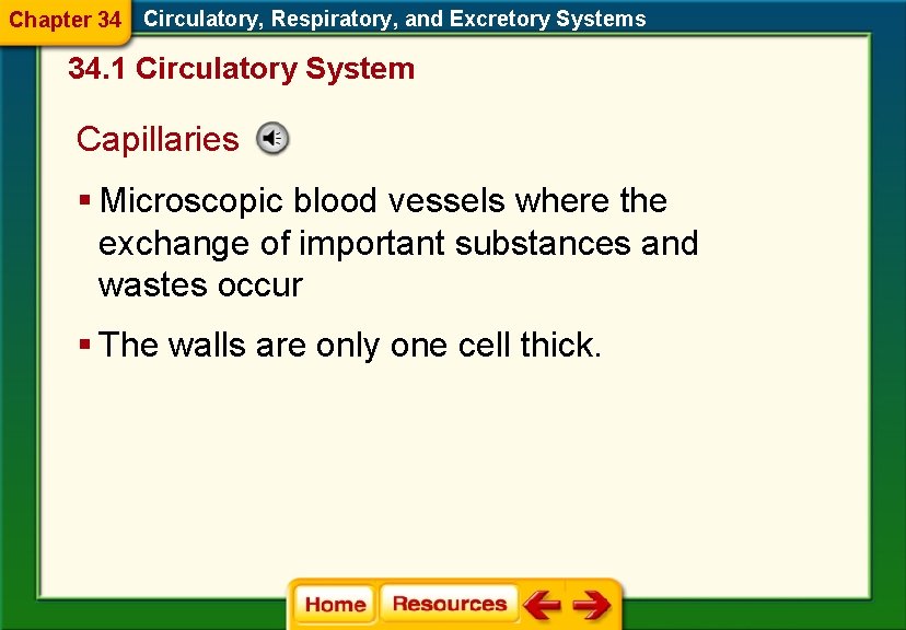 Chapter 34 Circulatory, Respiratory, and Excretory Systems 34. 1 Circulatory System Capillaries § Microscopic