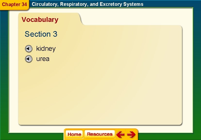Chapter 34 Circulatory, Respiratory, and Excretory Systems Vocabulary Section 3 kidney urea 
