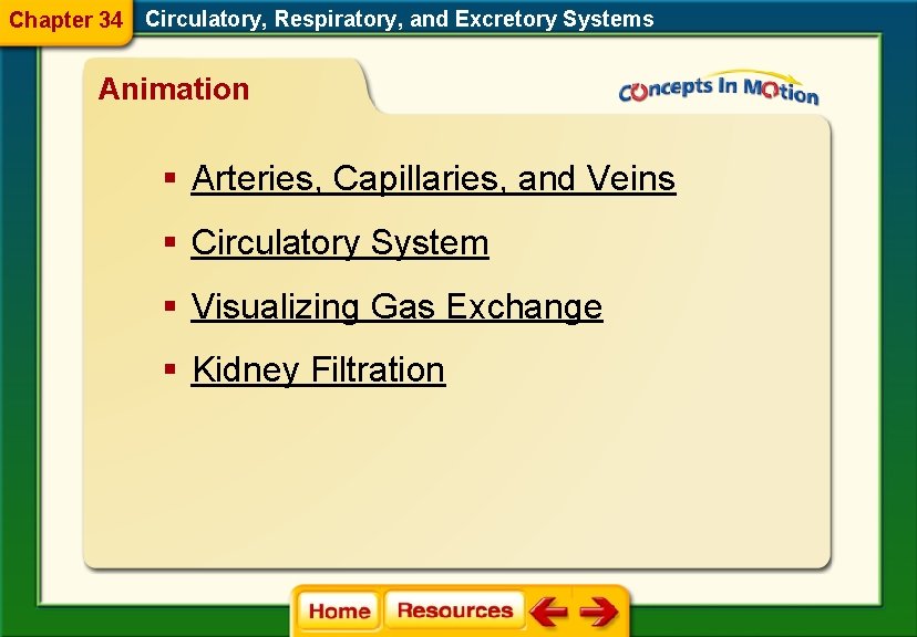 Chapter 34 Circulatory, Respiratory, and Excretory Systems Animation § Arteries, Capillaries, and Veins §