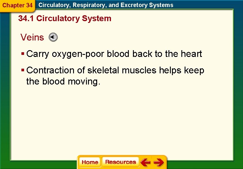Chapter 34 Circulatory, Respiratory, and Excretory Systems 34. 1 Circulatory System Veins § Carry