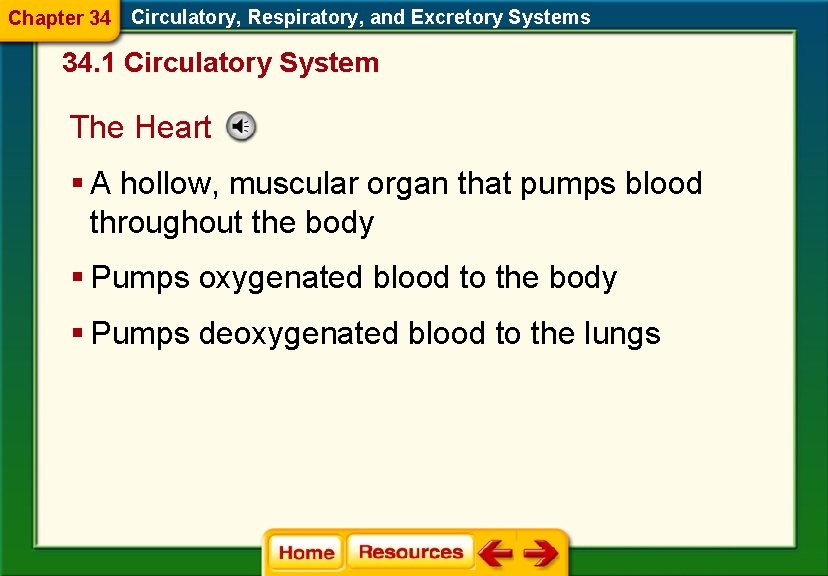 Chapter 34 Circulatory, Respiratory, and Excretory Systems 34. 1 Circulatory System The Heart §