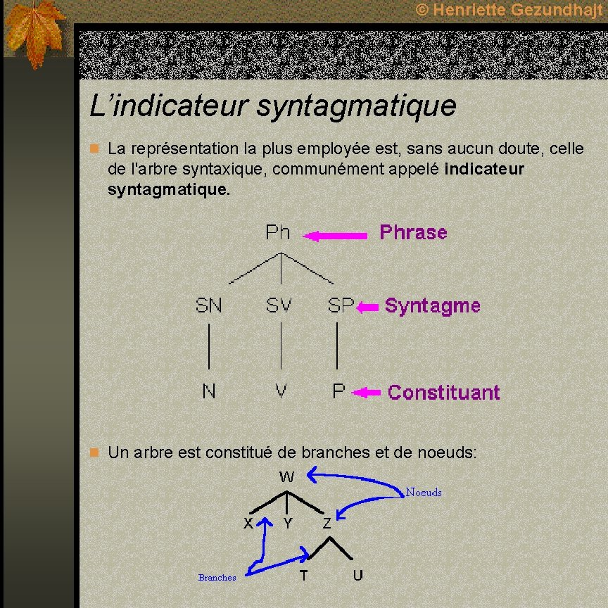 © Henriette Gezundhajt L’indicateur syntagmatique n La représentation la plus employée est, sans aucun