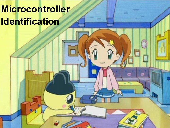 Microcontroller Identification 