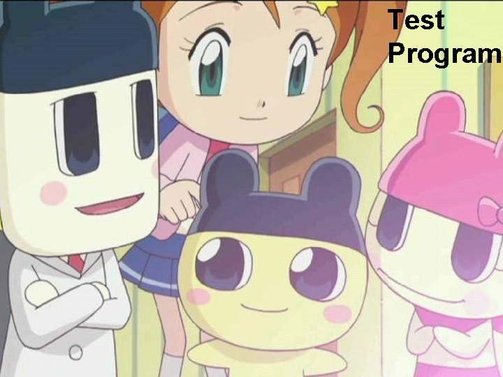 Test Program 