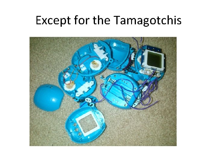 Except for the Tamagotchis 
