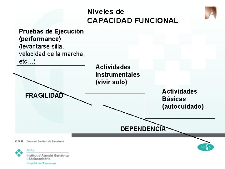 Niveles de CAPACIDAD FUNCIONAL Pruebas de Ejecución (performance) (levantarse silla, velocidad de la marcha,