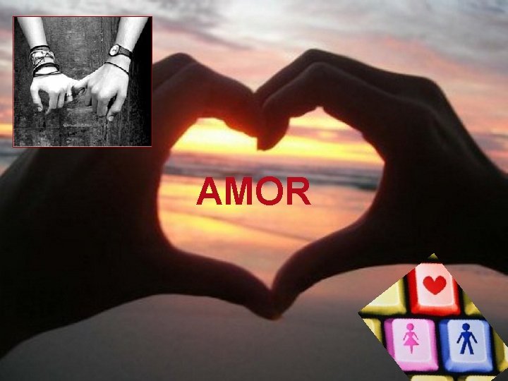 AMOR 