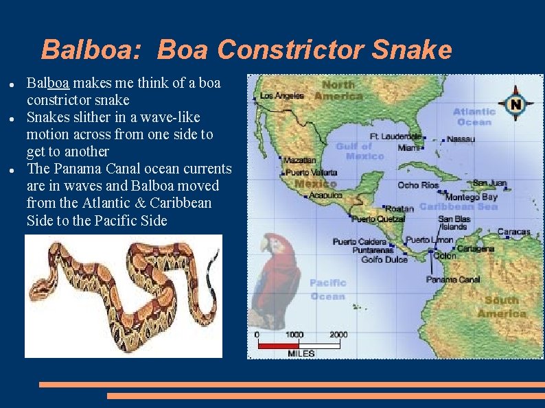 Balboa: Boa Constrictor Snake Balboa makes me think of a boa constrictor snake Snakes