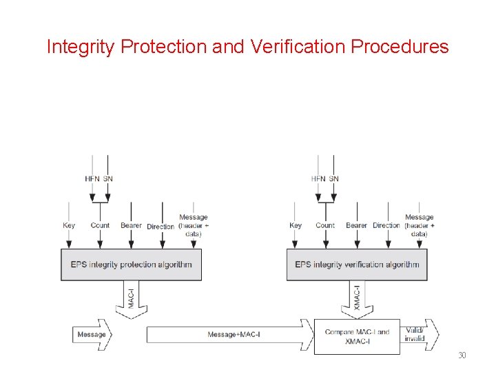 Integrity Protection and Verification Procedures 30 