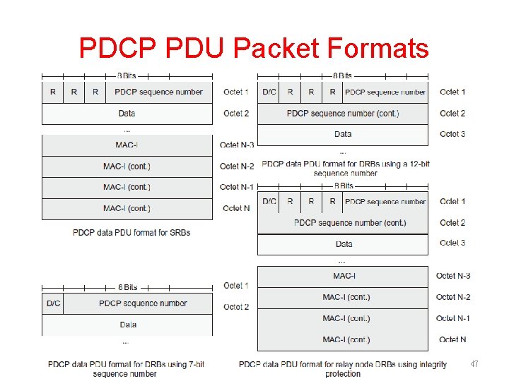 PDCP PDU Packet Formats 47 