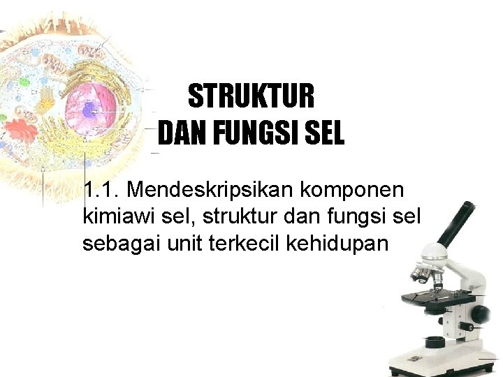 STRUKTUR DAN FUNGSI SEL 1. 1. Mendeskripsikan komponen kimiawi sel, struktur dan fungsi sel