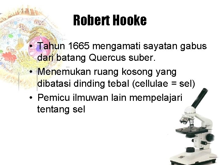Robert Hooke • Tahun 1665 mengamati sayatan gabus dari batang Quercus suber. • Menemukan