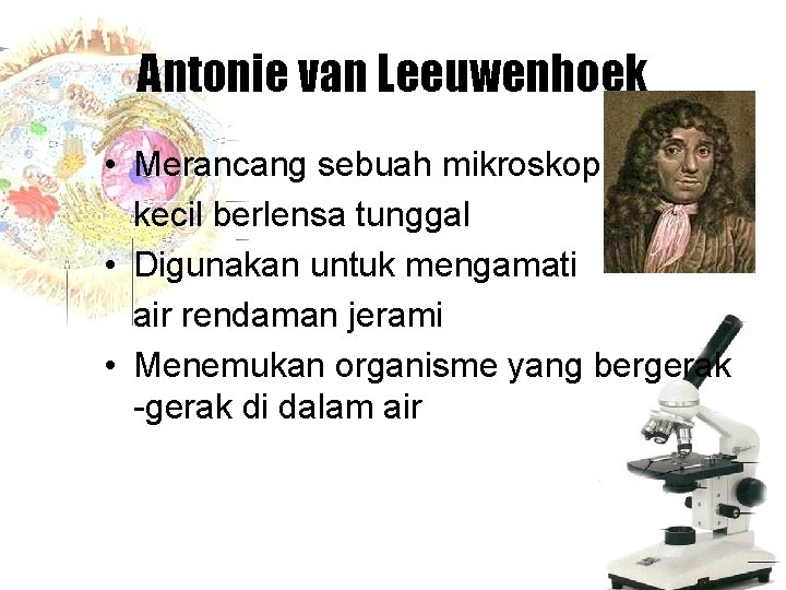 Antonie van Leeuwenhoek • Merancang sebuah mikroskop kecil berlensa tunggal • Digunakan untuk mengamati