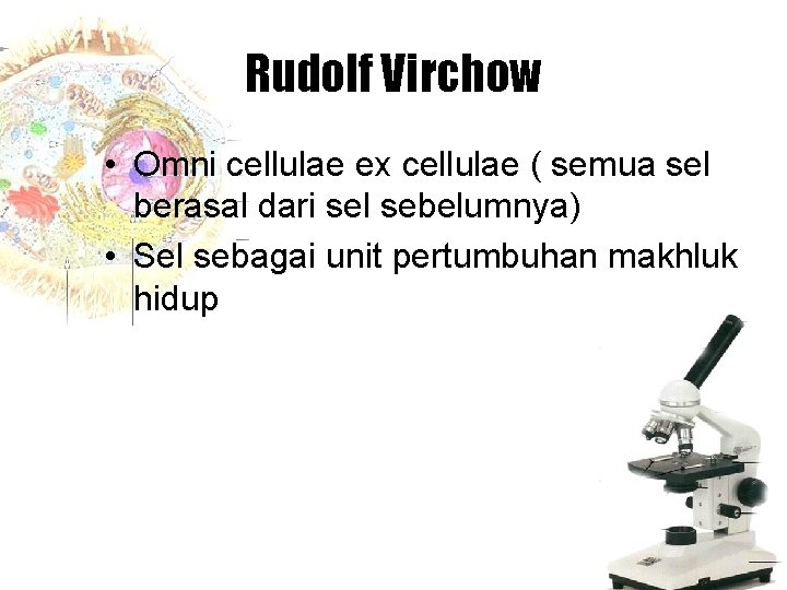 Rudolf Virchow • Omni cellulae ex cellulae ( semua sel berasal dari sel sebelumnya)