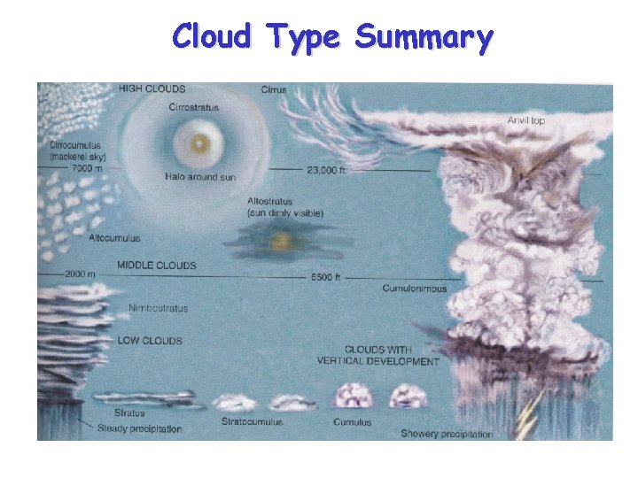 Cloud Type Summary 