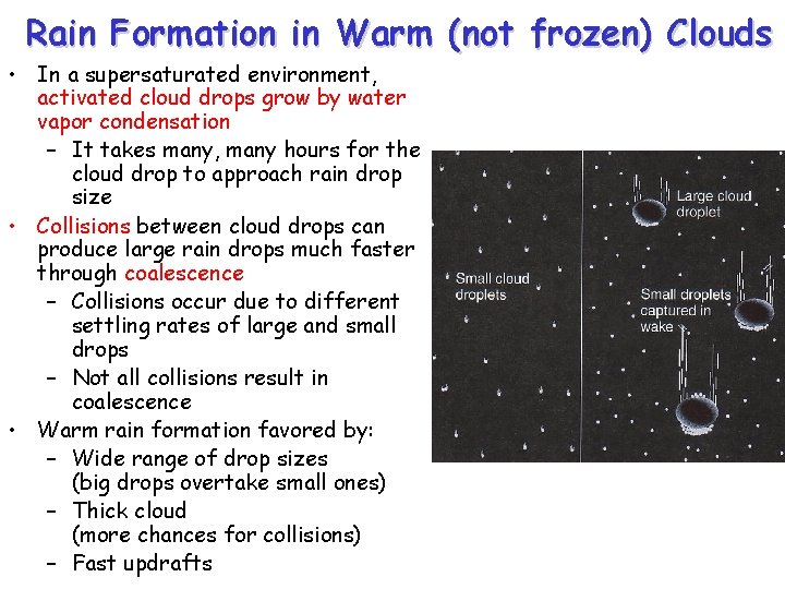 Rain Formation in Warm (not frozen) Clouds • In a supersaturated environment, activated cloud