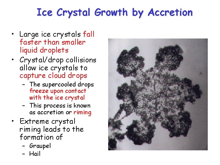 Ice Crystal Growth by Accretion • Large ice crystals fall faster than smaller liquid