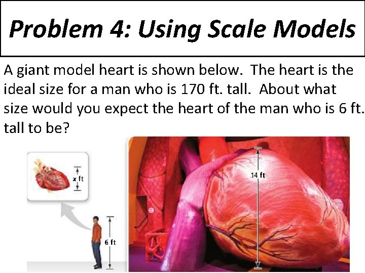 Problem 4: Using Scale Models A giant model heart is shown below. The heart