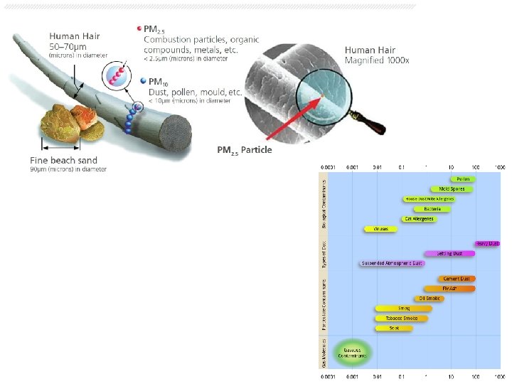 Human Particulation Unit 4 Lesson 3 Human Impact on the