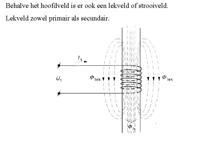 Behalve het hoofdveld is er ook een lekveld of strooiveld. Lekveld zowel primair als Behalve het hoofdveld is er ook een lekveld of strooiveld. Lekveld zowel primair als