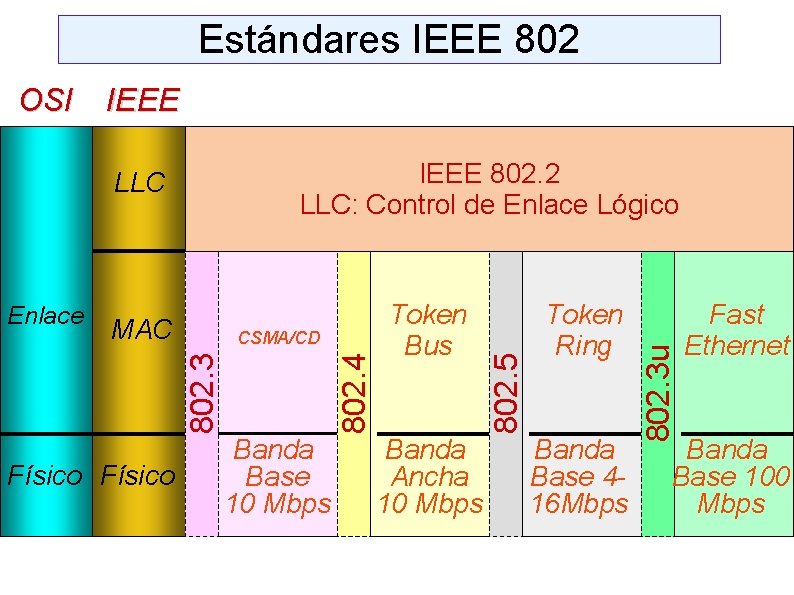 Estándares IEEE 802 IEEE CSMA/CD Físico Banda Base 10 Mbps Token Bus Banda Ancha