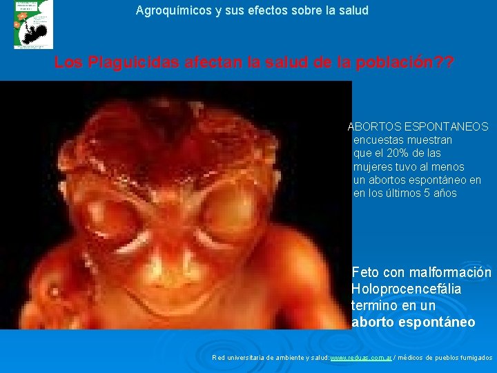 Agroquímicos y sus efectos sobre la salud Los Plaguicidas afectan la salud de la