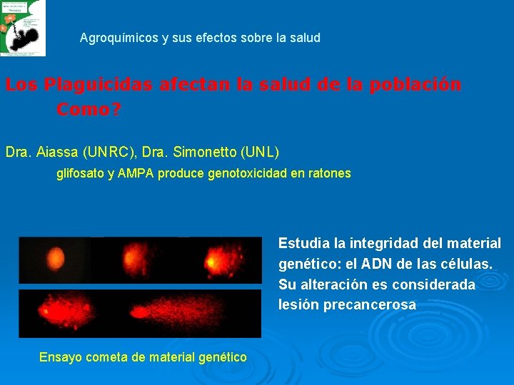 Agroquímicos y sus efectos sobre la salud Los Plaguicidas afectan la salud de la