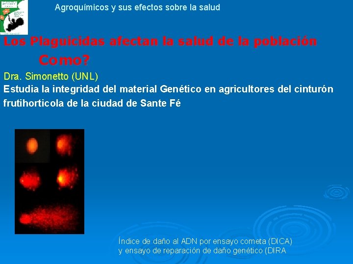 Agroquímicos y sus efectos sobre la salud Los Plaguicidas afectan la salud de la