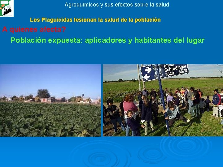 Agroquímicos y sus efectos sobre la salud Los Plaguicidas lesionan la salud de la