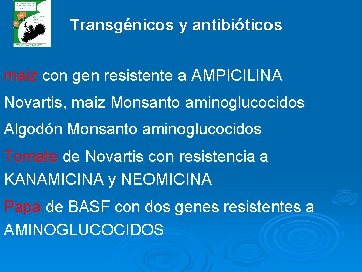 Transgénicos y antibióticos maiz con gen resistente a AMPICILINA Novartis, maiz Monsanto aminoglucocidos Algodón