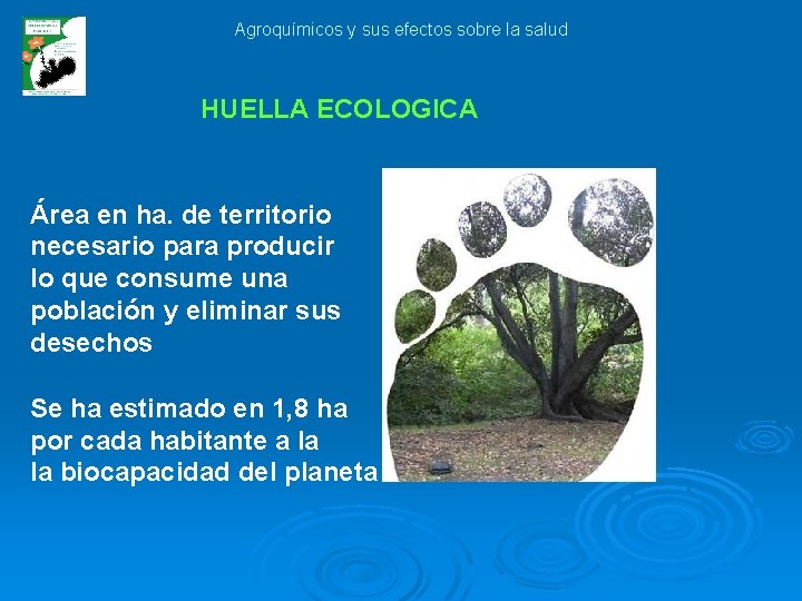 Agroquímicos y sus efectos sobre la salud HUELLA ECOLOGICA Área en ha. de territorio