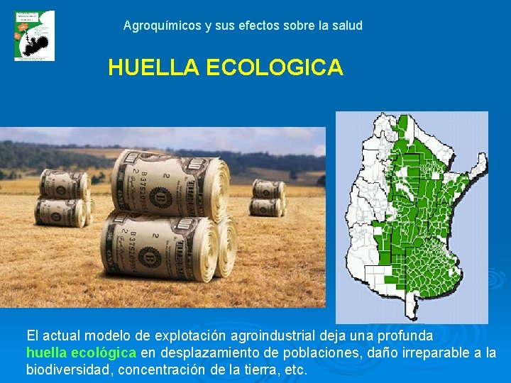 Agroquímicos y sus efectos sobre la salud HUELLA ECOLOGICA El actual modelo de explotación
