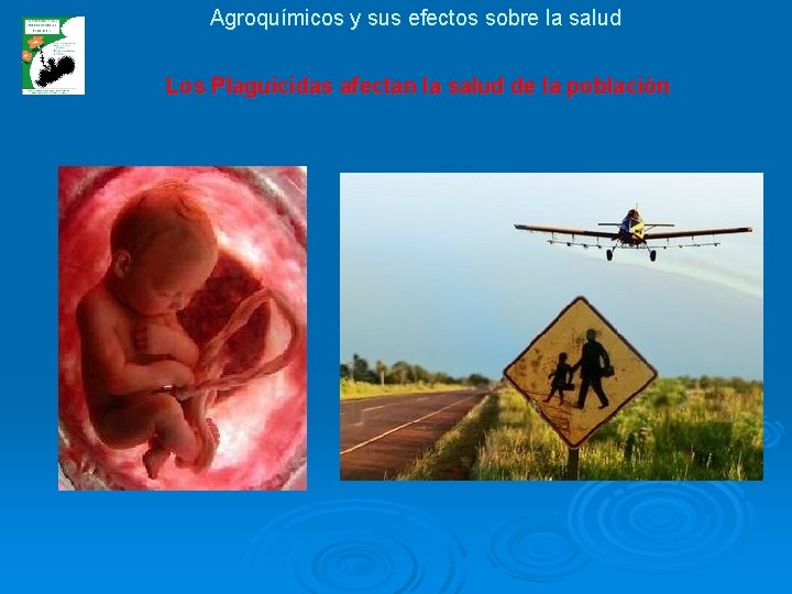 Agroquímicos y sus efectos sobre la salud Los Plaguicidas afectan la salud de la