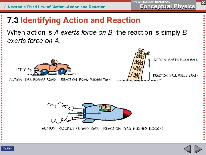 7 Newton’s Third Law of Motion–Action and Reaction 7. 3 Identifying Action and Reaction