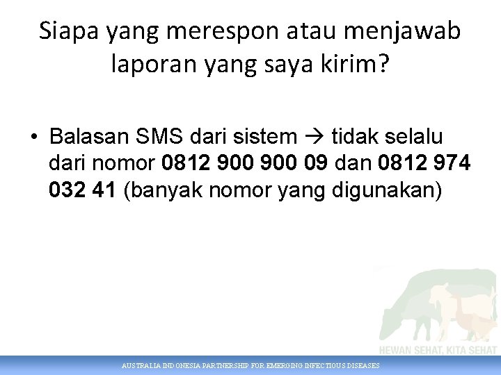 Siapa yang merespon atau menjawab laporan yang saya kirim? • Balasan SMS dari sistem