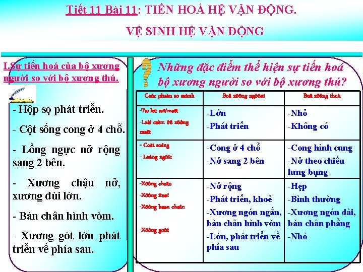 Tiết 11 Bài 11: TIẾN HOÁ HỆ VẬN ĐỘNG. VỆ SINH HỆ VẬN ĐỘNG