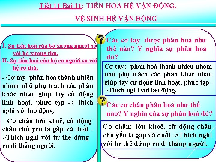 Tiết 11 Bài 11: TIẾN HOÁ HỆ VẬN ĐỘNG. VỆ SINH HỆ VẬN ĐỘNG