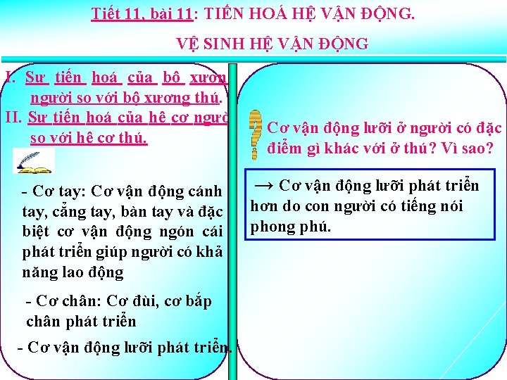 Tiết 11, bài 11: TIẾN HOÁ HỆ VẬN ĐỘNG. VỆ SINH HỆ VẬN ĐỘNG