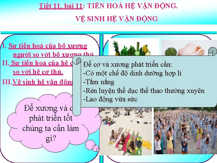 Tiết 11, bài 11: TIẾN HOÁ HỆ VẬN ĐỘNG. VỆ SINH HỆ VẬN ĐỘNG