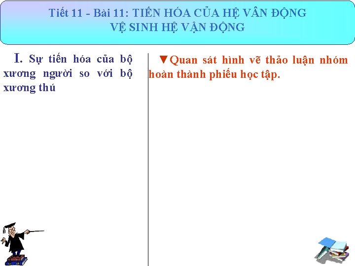 Tiết 11 - Bài 11: TIẾN HÓA CỦA HỆ V N ĐỘNG VỆ SINH