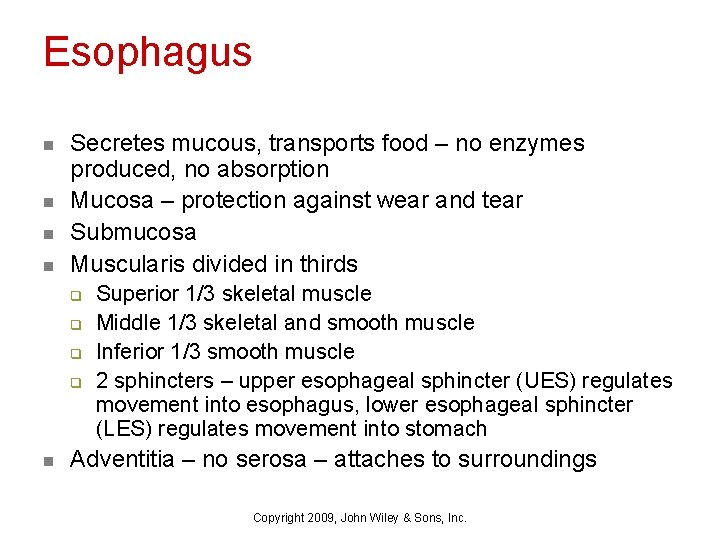 Esophagus n n Secretes mucous, transports food – no enzymes produced, no absorption Mucosa