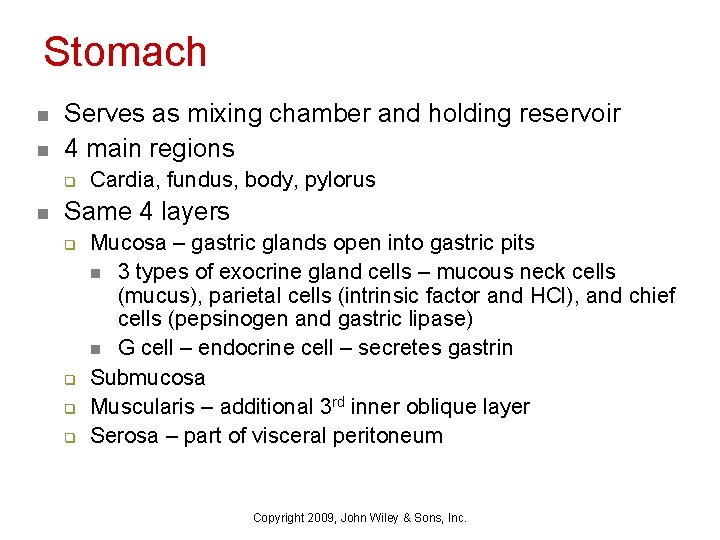 Stomach n n Serves as mixing chamber and holding reservoir 4 main regions q